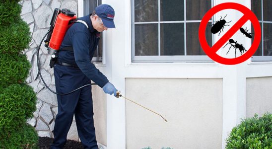 Boyabat Dezenfeksiyon böcek ilaçlama ve haşere kontrolü — ilaclama-tr.com